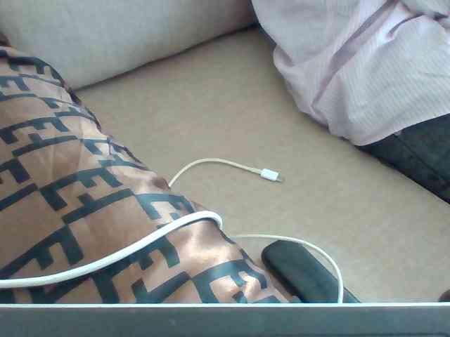 Dollie webcam