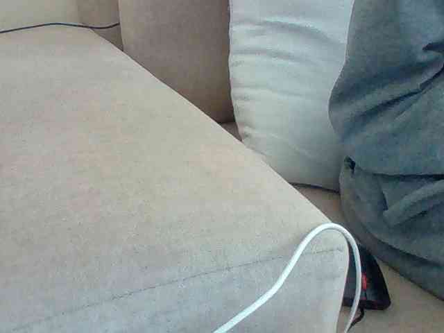 Dollie webcam