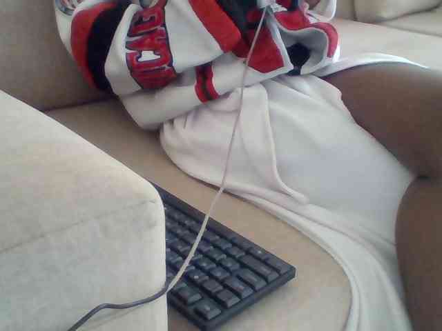 Dollie webcam