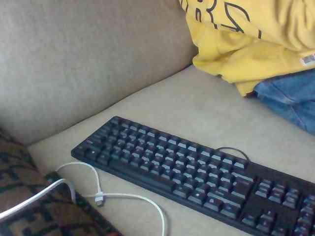 Dollie webcam