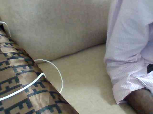 Dollie webcam