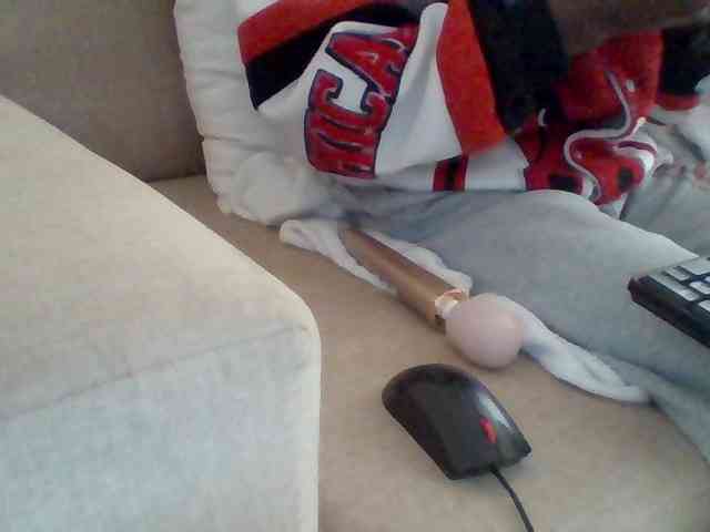 Dollie webcam