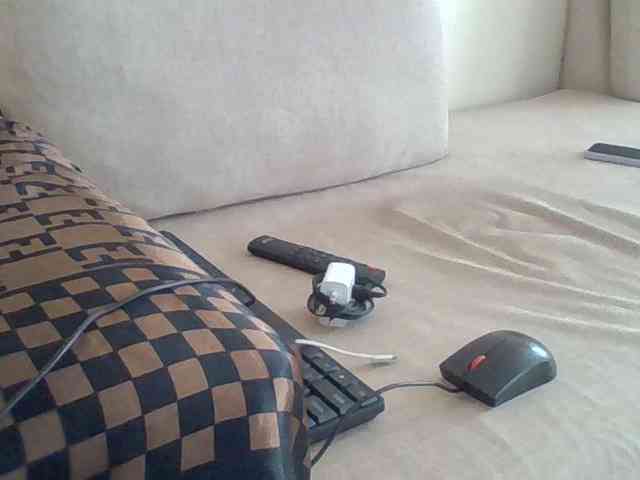Dollie webcam