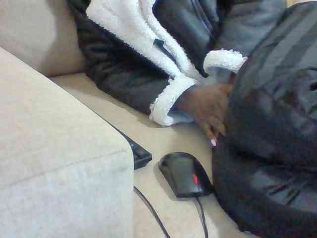 Dollie webcam