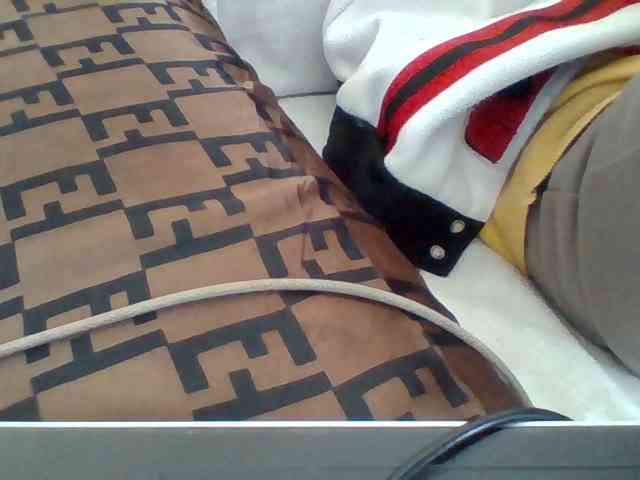 Dollie webcam