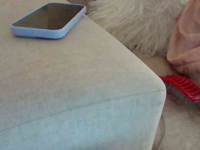 Dollie webcam