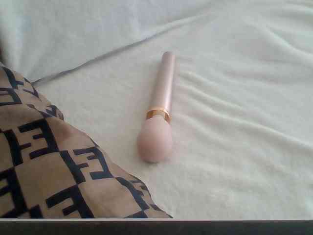 Dollie webcam