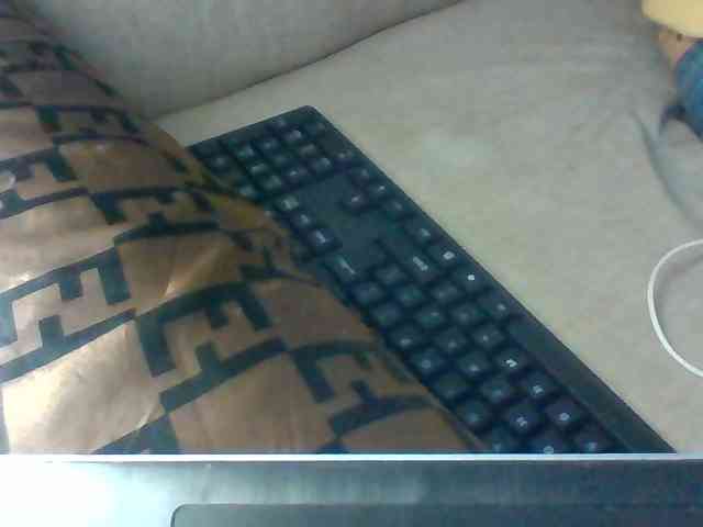Dollie webcam