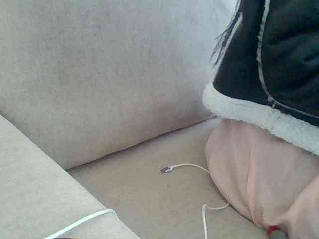 Dollie webcam