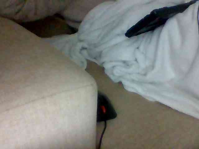 Dollie webcam