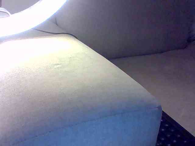 Dollie webcam