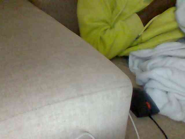Dollie webcam