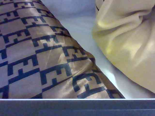 Dollie webcam