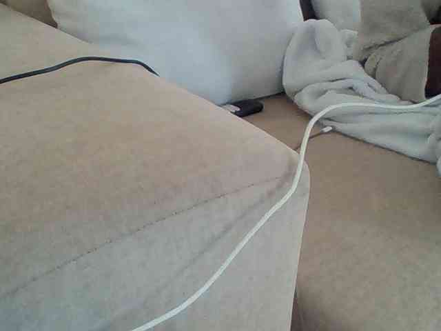Dollie webcam