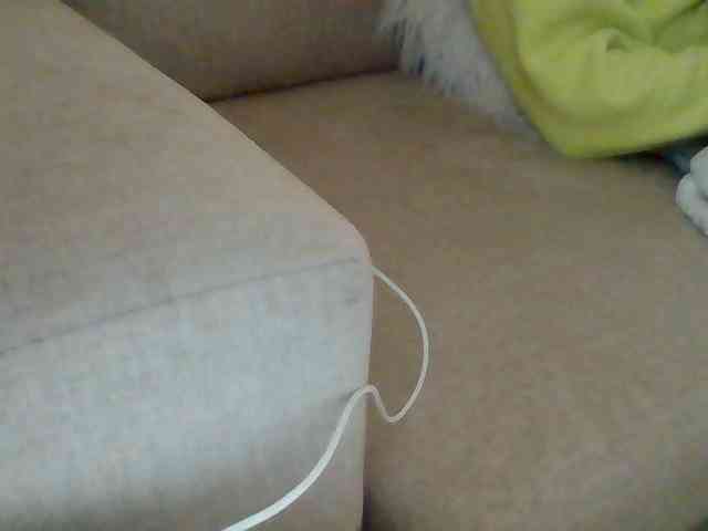 Dollie webcam