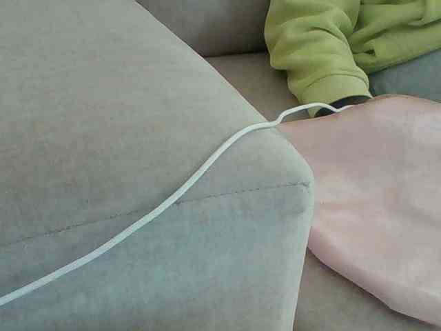 Dollie webcam
