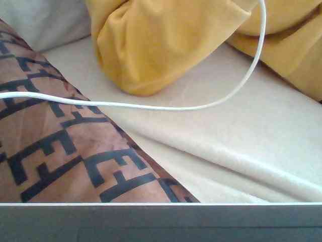 Dollie webcam