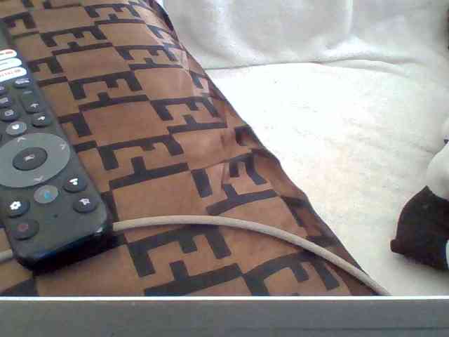 Dollie webcam