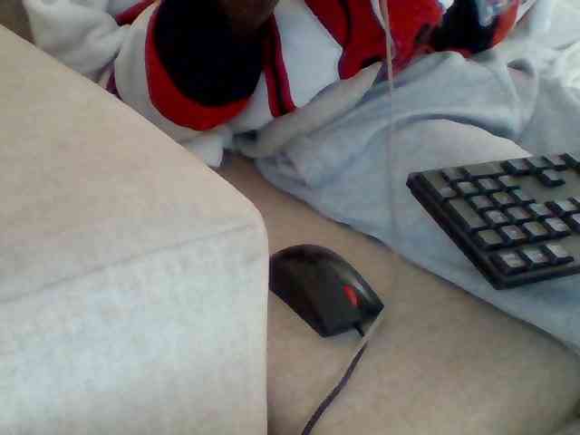 Dollie webcam