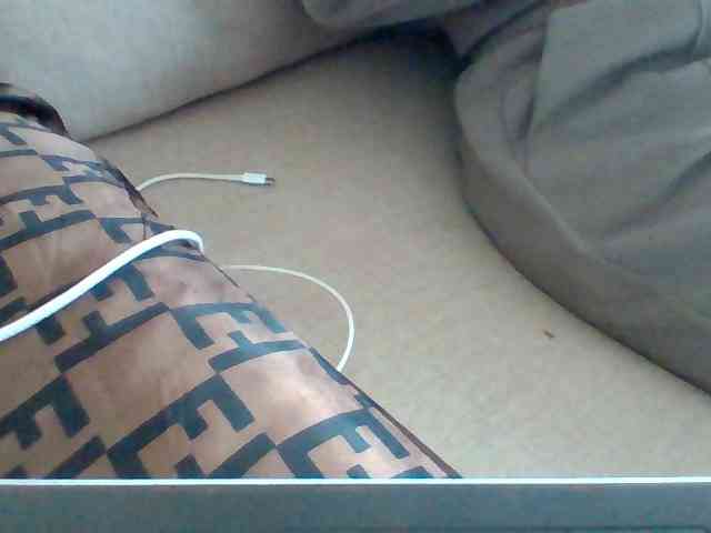 Dollie webcam