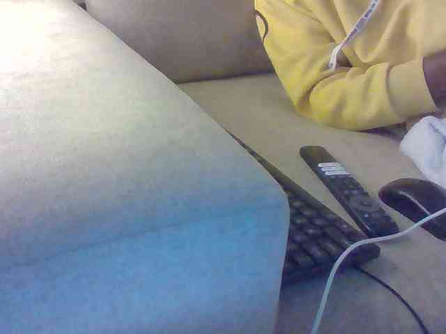 Dollie webcam