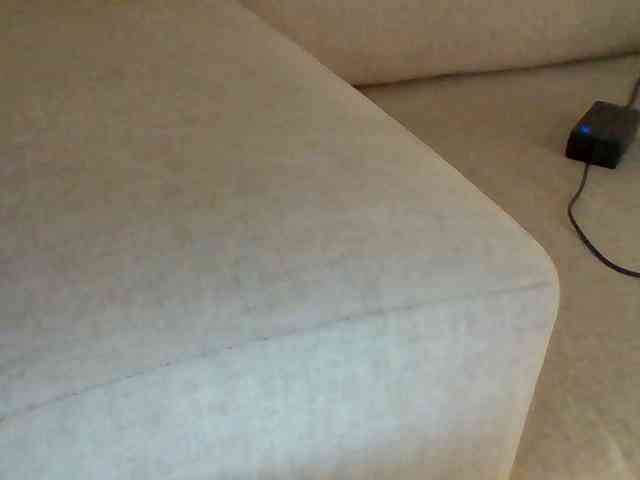 Dollie webcam