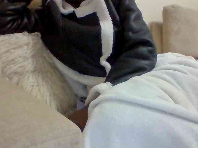Dollie