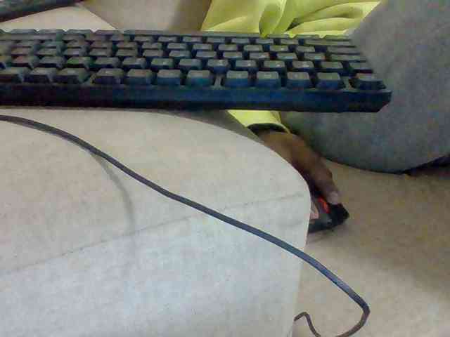 Dollie webcam