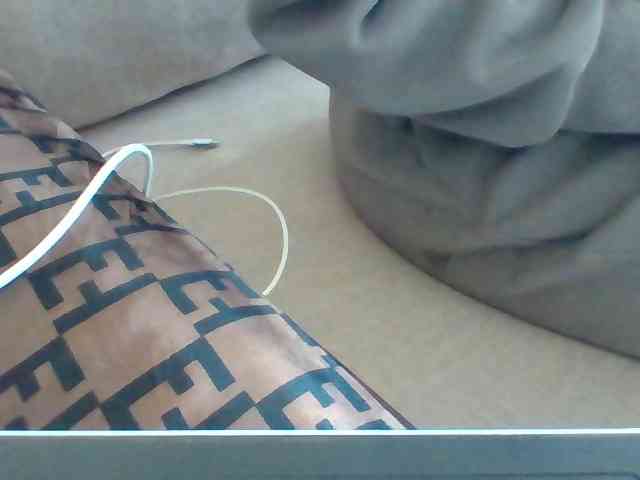 Dollie webcam