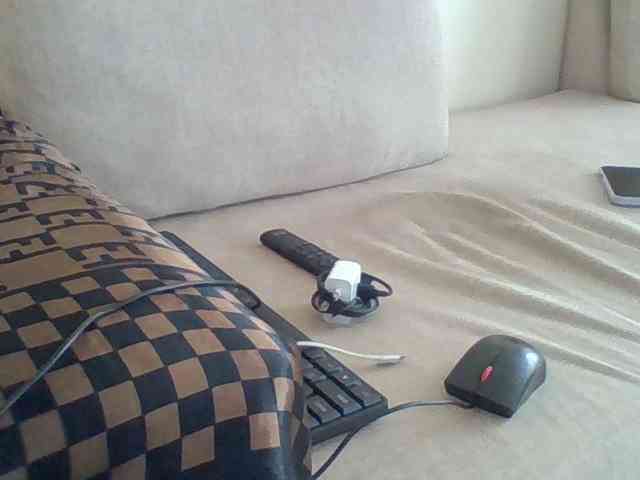 Dollie webcam