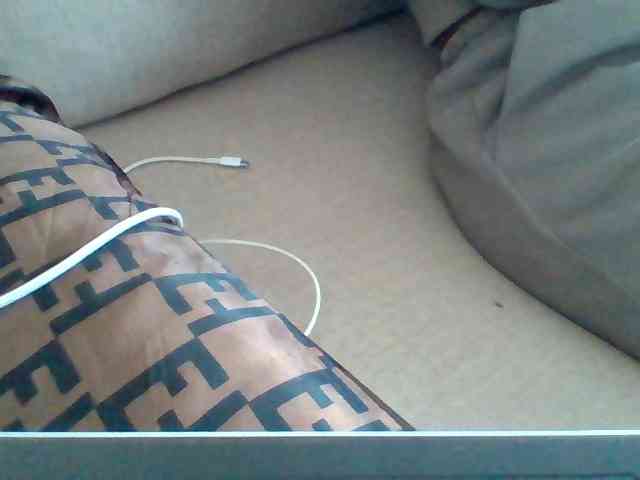 Dollie webcam