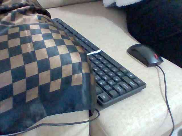 Dollie webcam