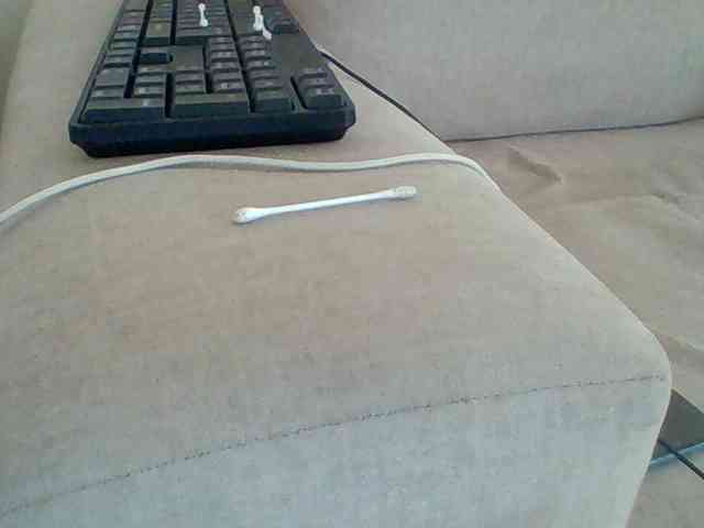 Dollie webcam