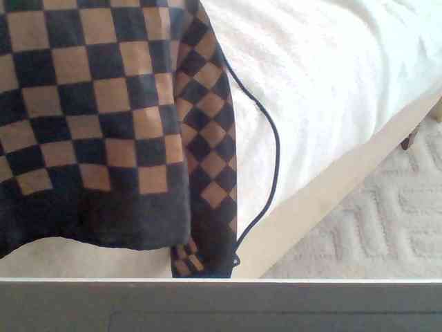 Dollie webcam