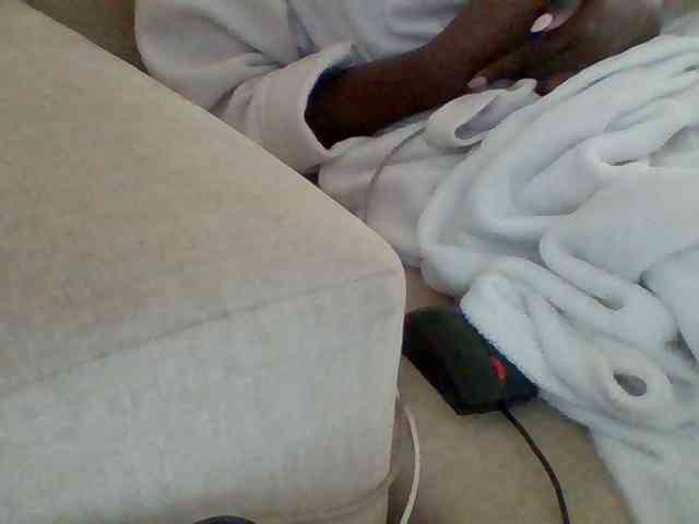 Dollie webcam