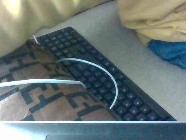 Dollie webcam
