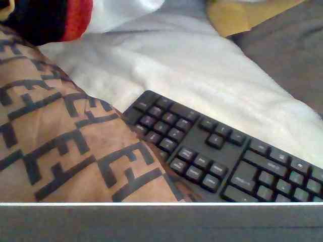 Dollie webcam