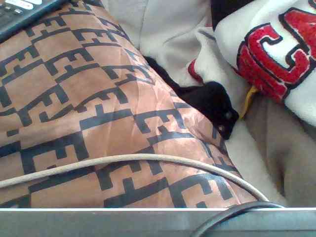 Dollie webcam