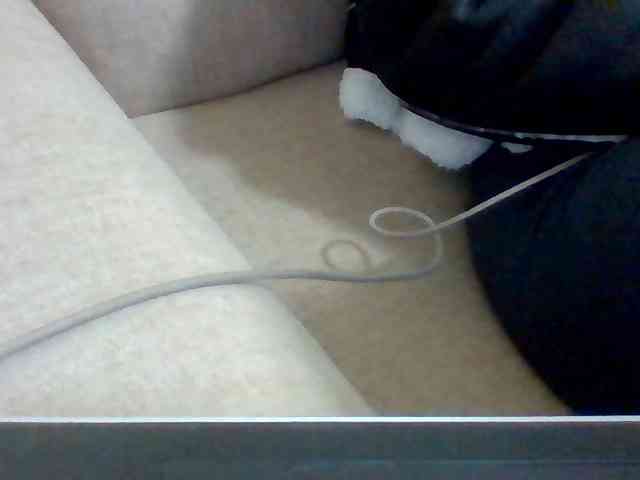 Dollie webcam