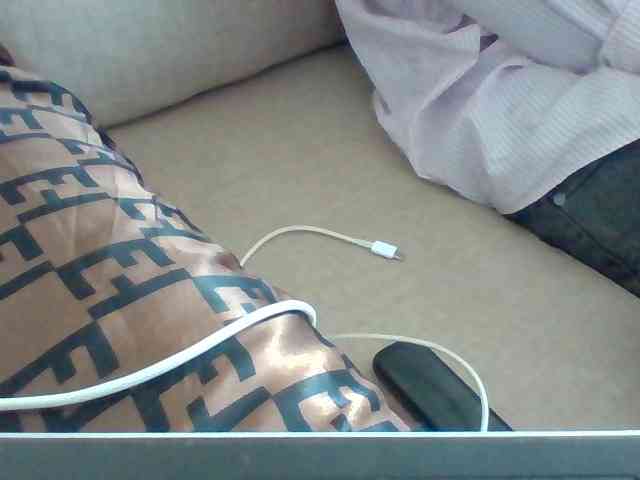 Dollie webcam