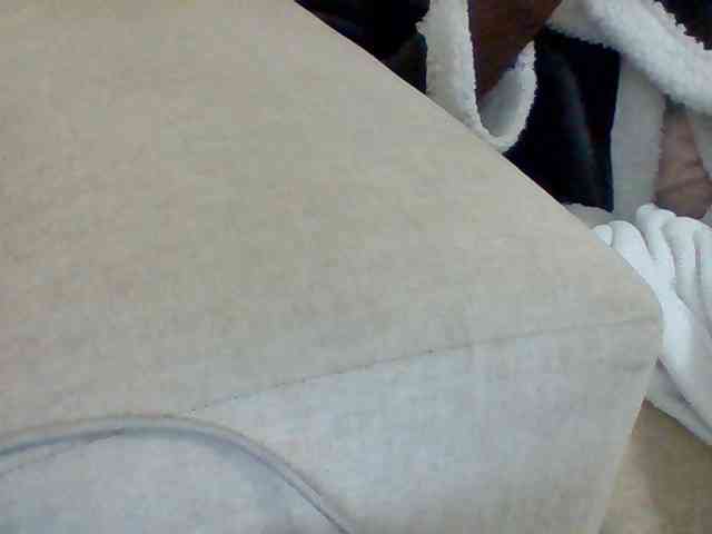 Dollie webcam