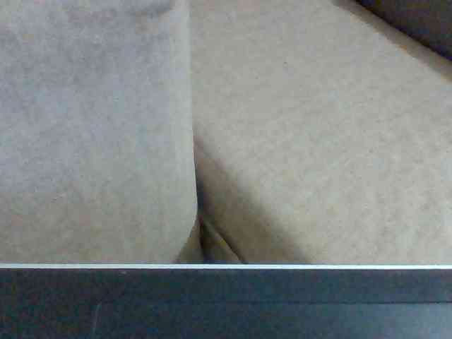 Dollie webcam