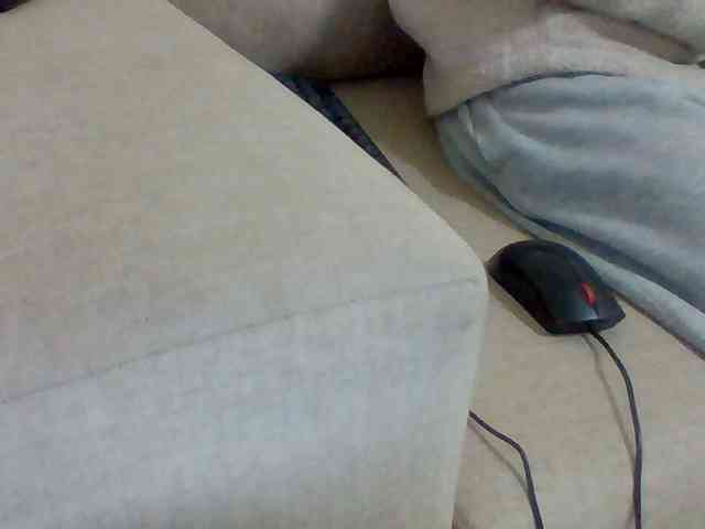Dollie webcam