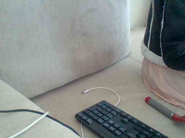 Dollie webcam