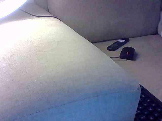 Dollie webcam