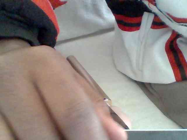 Dollie webcam