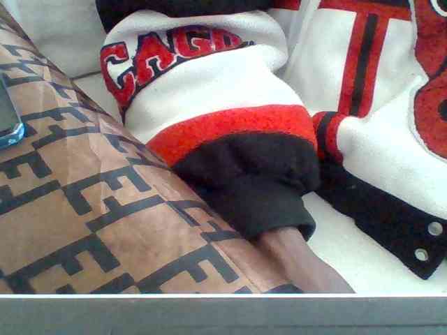 Dollie webcam