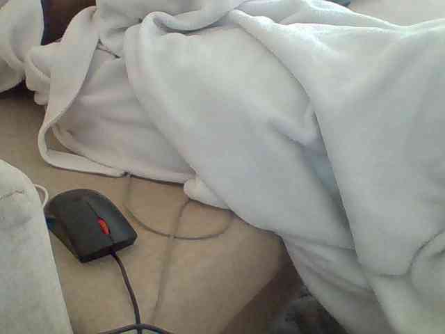 Dollie webcam