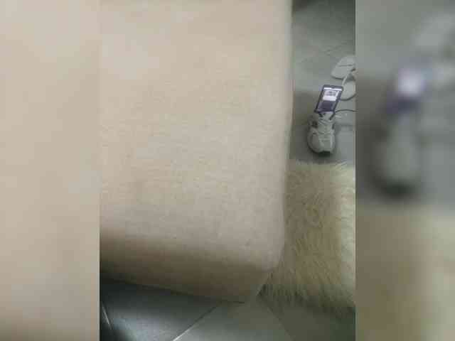 Dollie webcam