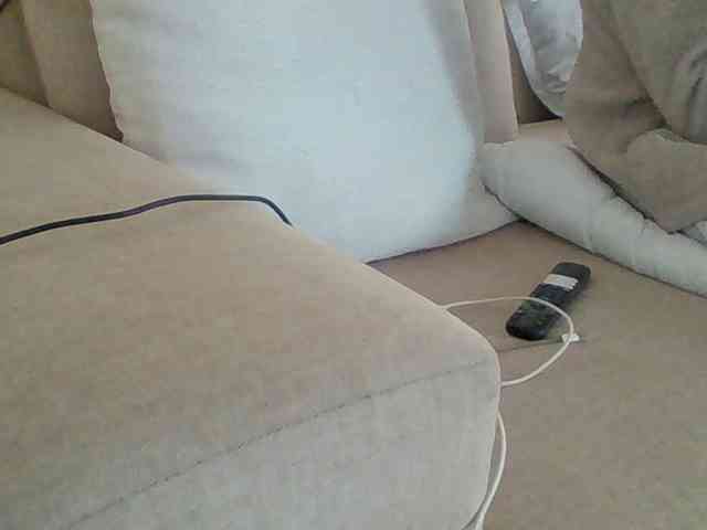 Dollie webcam